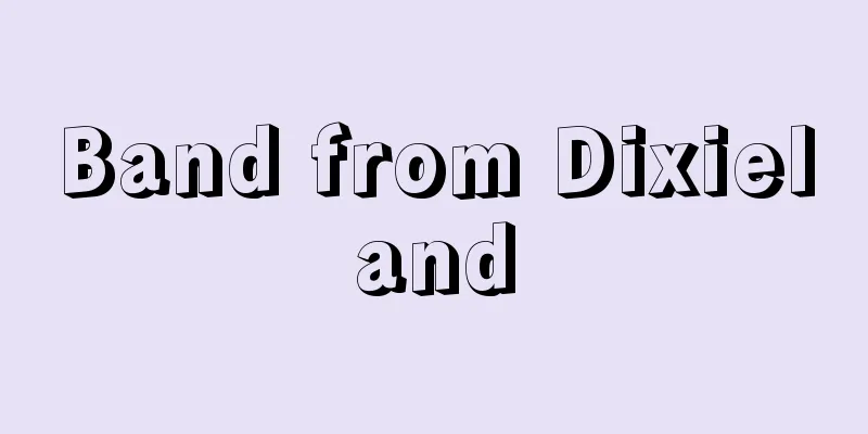Band from Dixieland