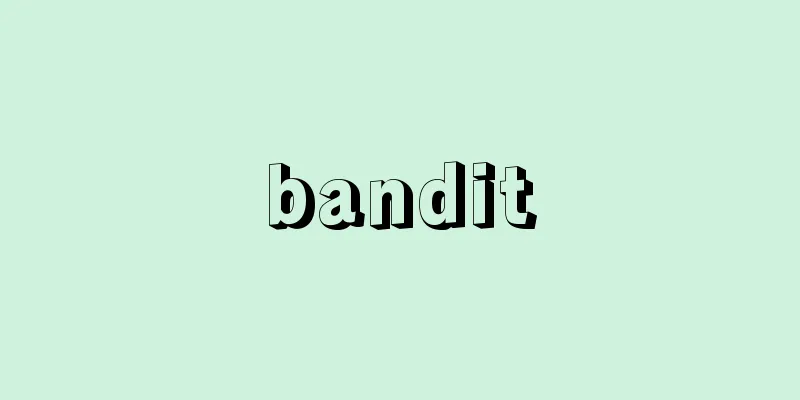 bandit