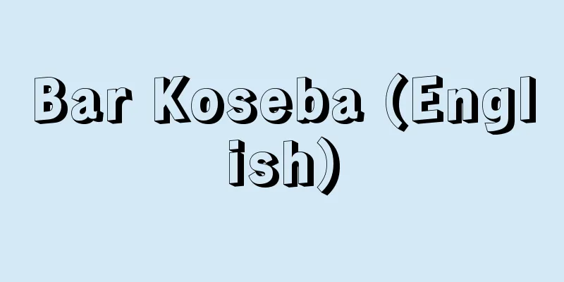 Bar Koseba (English)