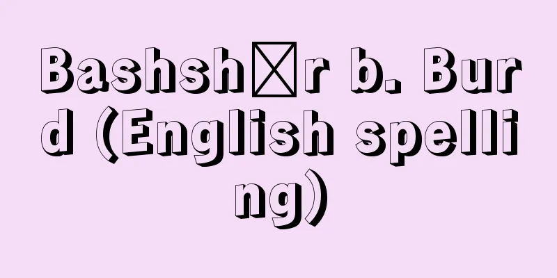Bashshār b. Burd (English spelling)