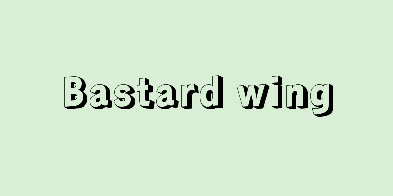 Bastard wing