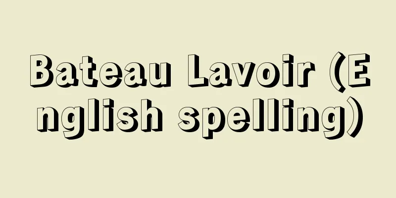 Bateau Lavoir (English spelling)