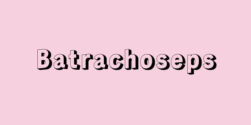 Batrachoseps