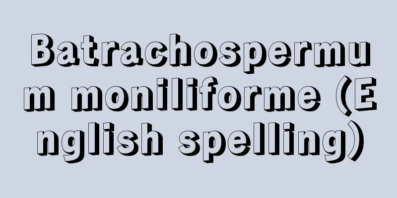 Batrachospermum moniliforme (English spelling)