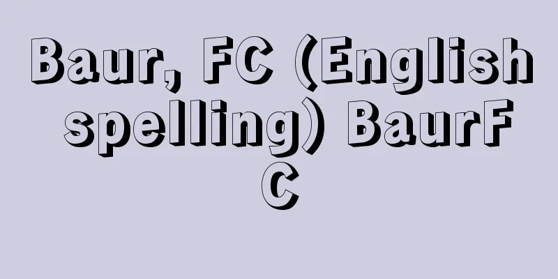 Baur, FC (English spelling) BaurFC