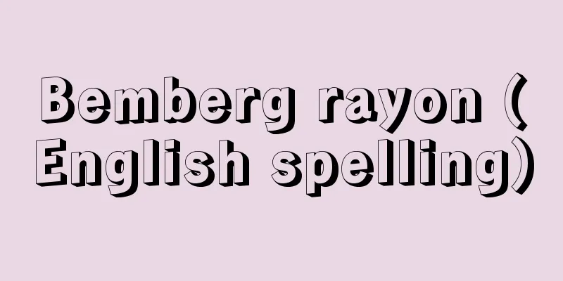 Bemberg rayon (English spelling)