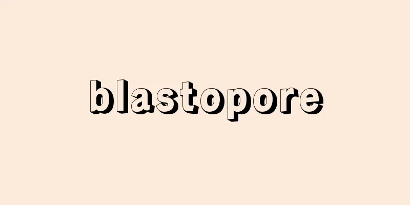 blastopore
