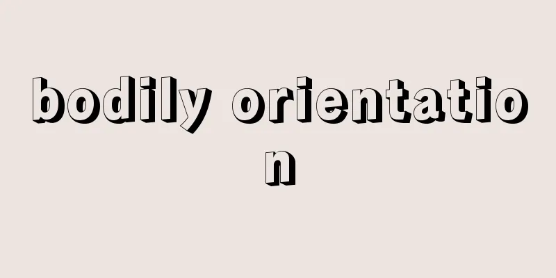 bodily orientation