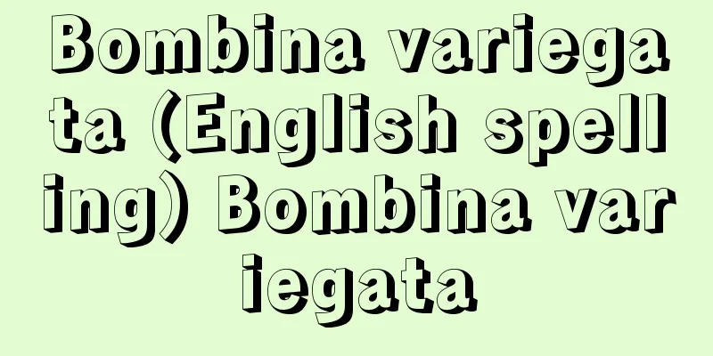 Bombina variegata (English spelling) Bombina variegata