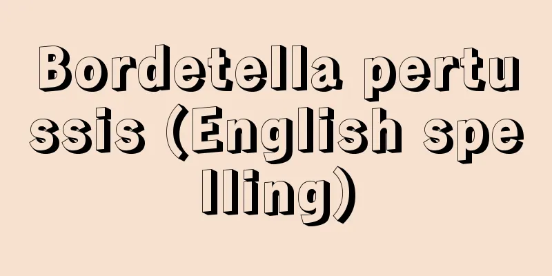 Bordetella pertussis (English spelling)