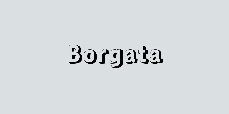 Borgata