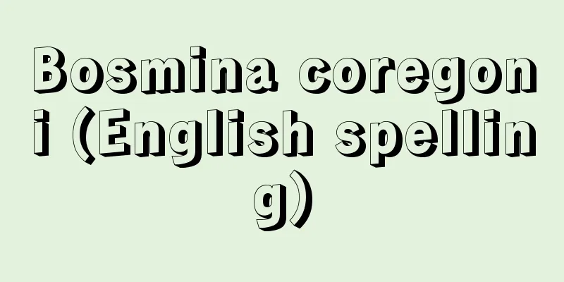 Bosmina coregoni (English spelling)