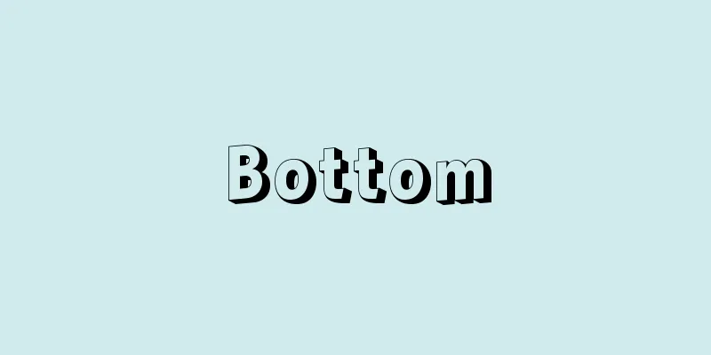 Bottom