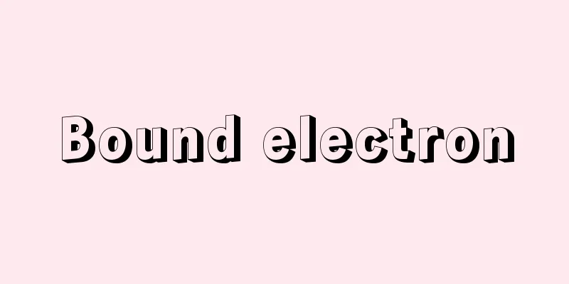 Bound electron