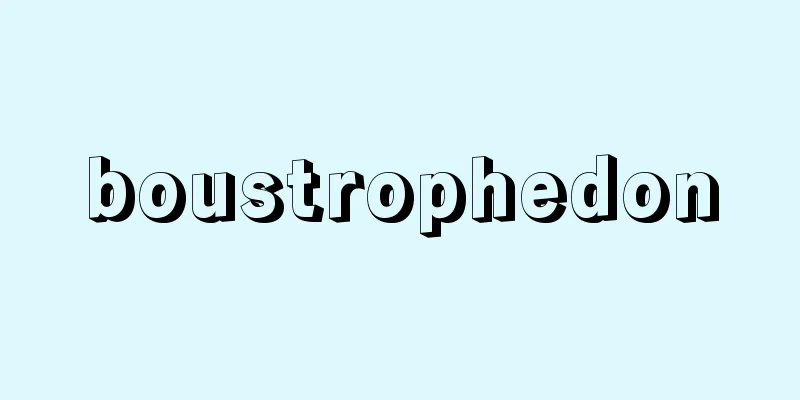 boustrophedon