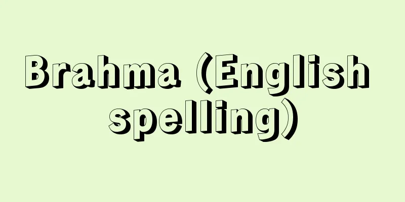 Brahma (English spelling)