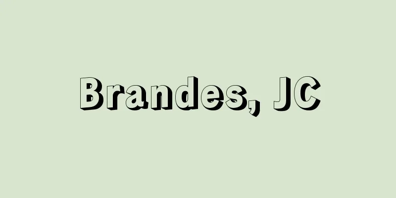 Brandes, JC