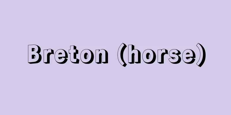 Breton (horse)
