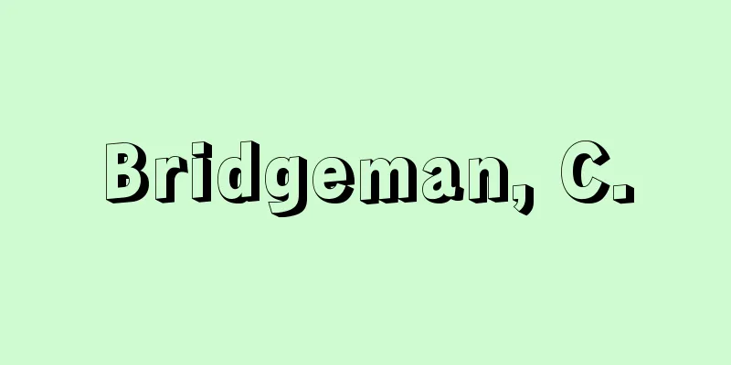 Bridgeman, C.