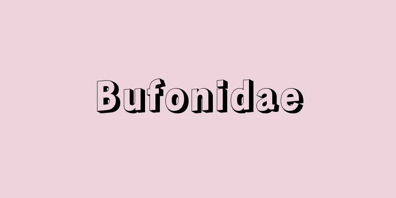 Bufonidae