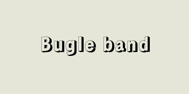 Bugle band