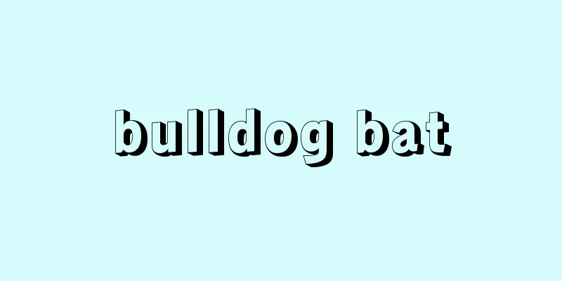 bulldog bat