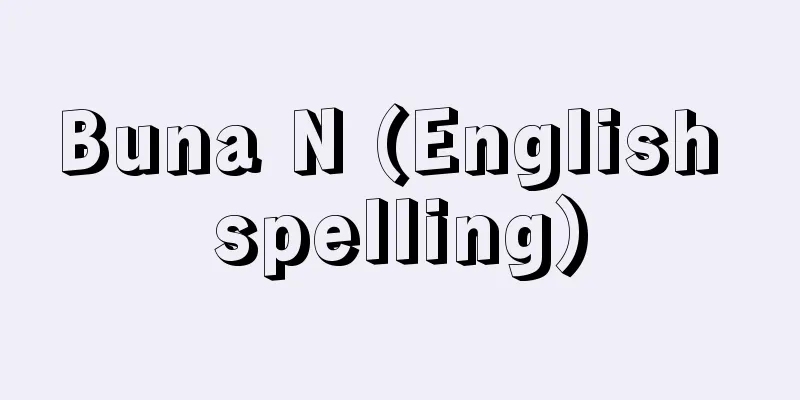 Buna N (English spelling)