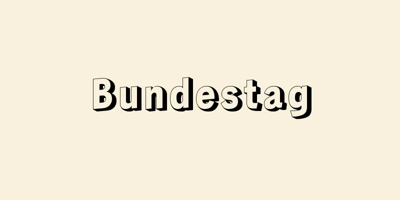 Bundestag