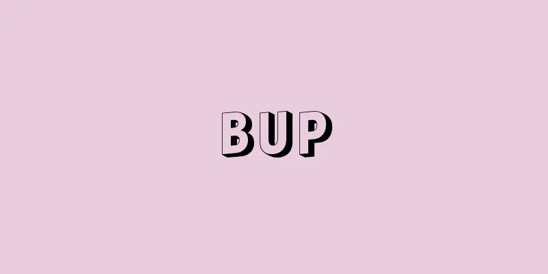 BUP