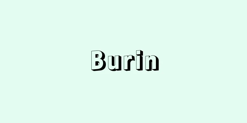 Burin