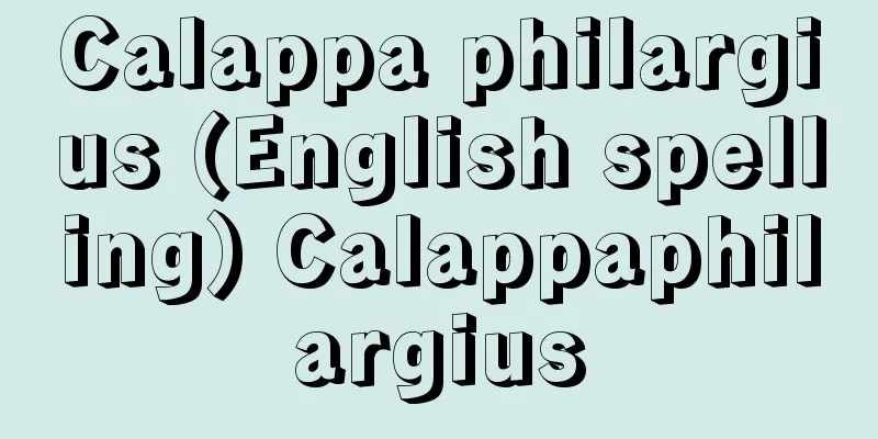 Calappa philargius (English spelling) Calappaphilargius