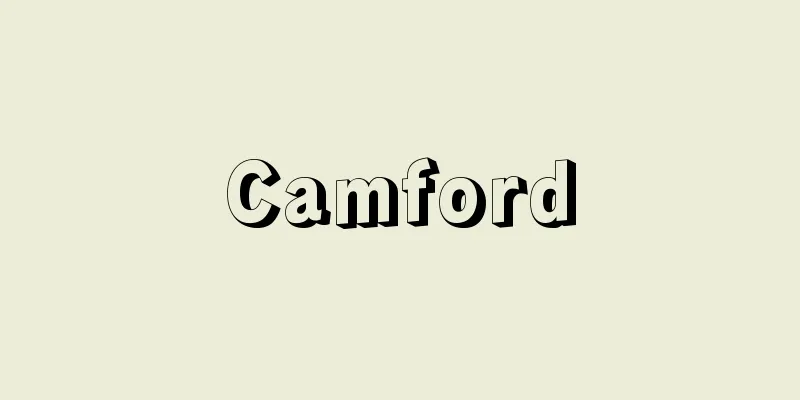 Camford