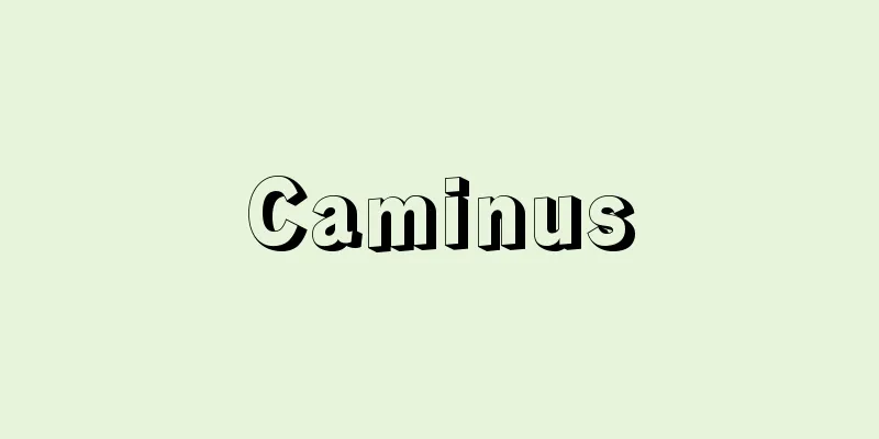 Caminus
