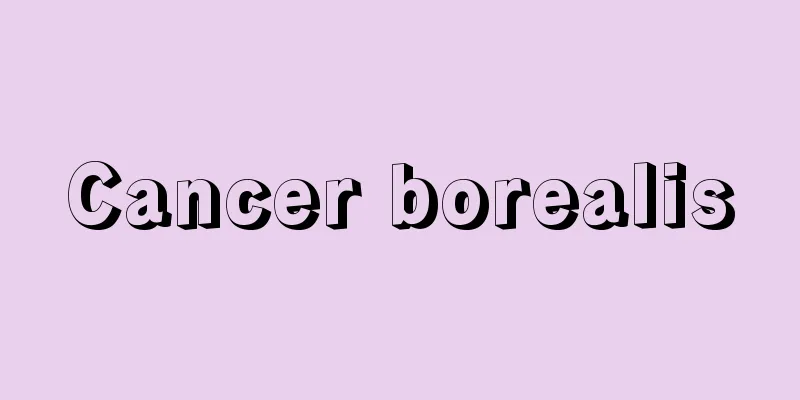 Cancer borealis