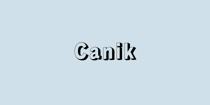 Canik
