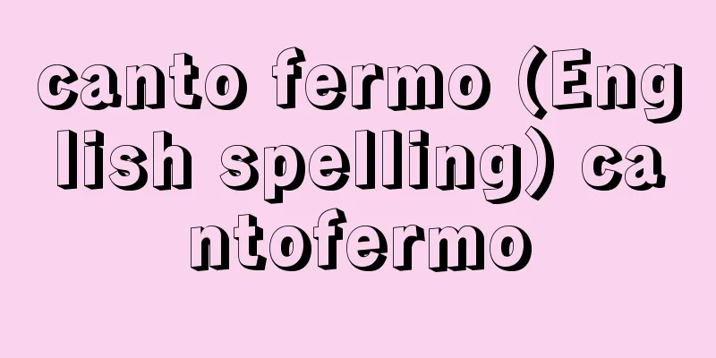 canto fermo (English spelling) cantofermo