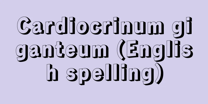 Cardiocrinum giganteum (English spelling)