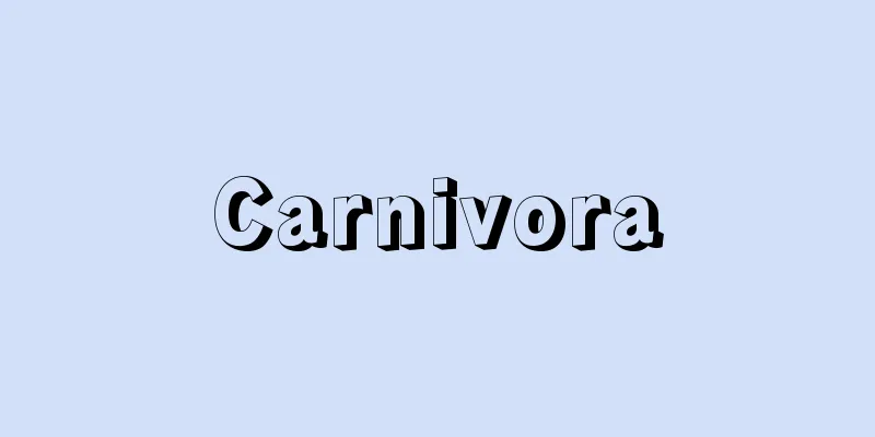 Carnivora