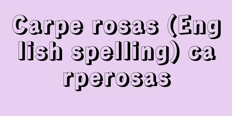 Carpe rosas (English spelling) carperosas