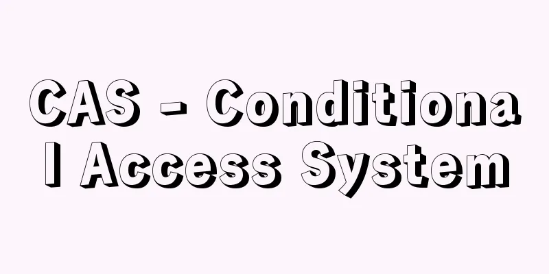 CAS - Conditional Access System
