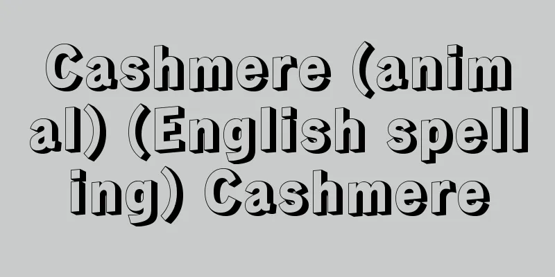 Cashmere (animal) (English spelling) Cashmere
