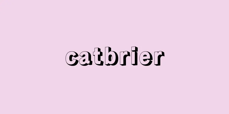 catbrier