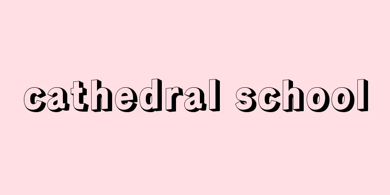 cathedral school
