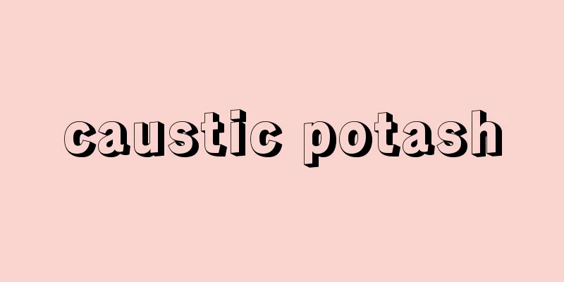 caustic potash