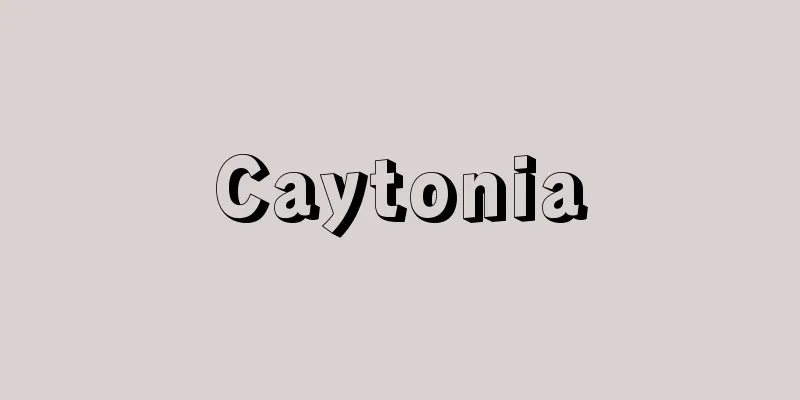 Caytonia