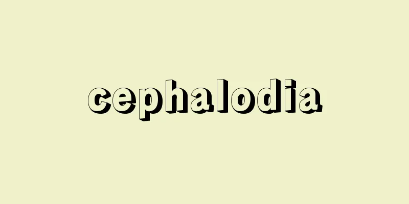 cephalodia