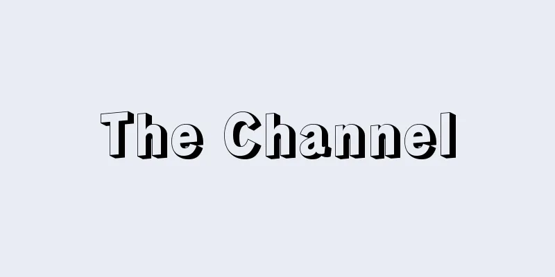 The Channel