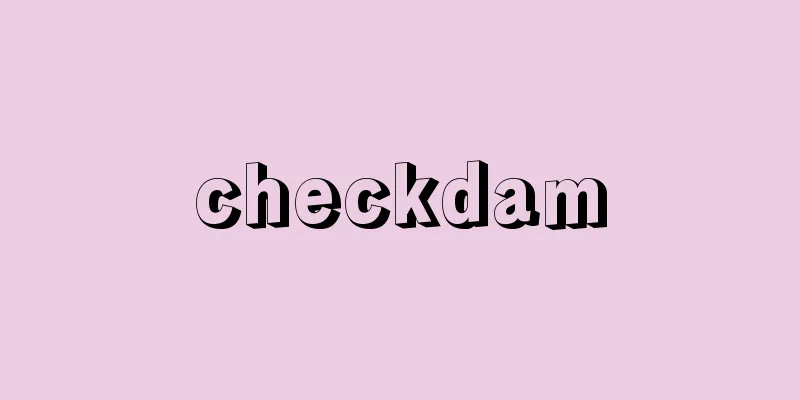 checkdam