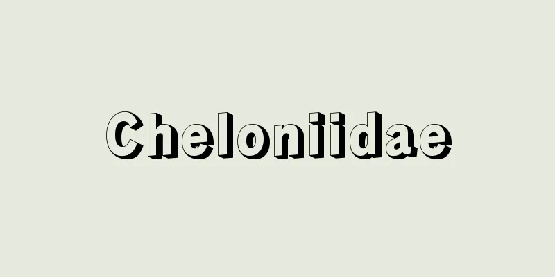 Cheloniidae