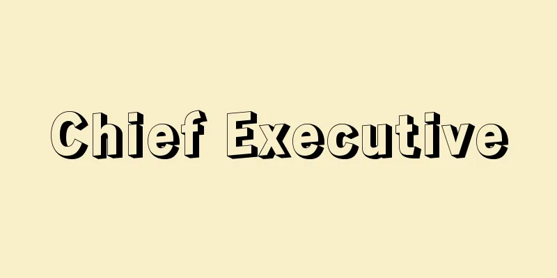 Chief Executive